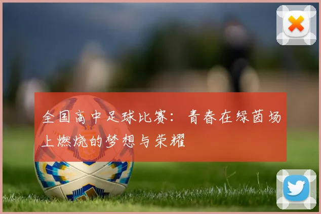 全国高中足球比赛：青春在绿茵场上燃烧的梦想与荣耀