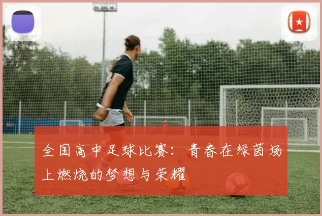 全国高中足球比赛：青春在绿茵场上燃烧的梦想与荣耀