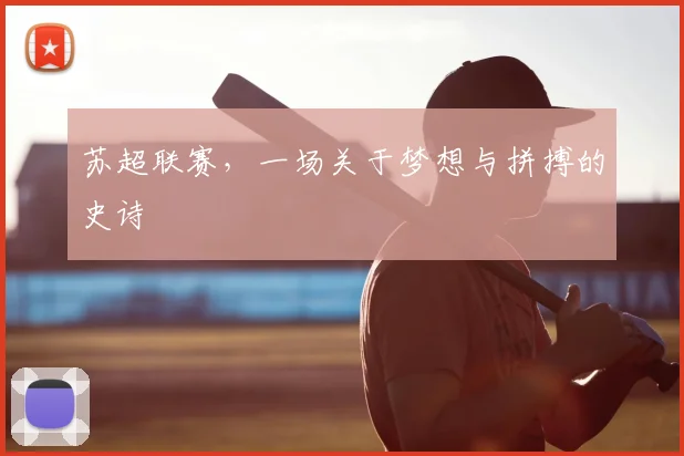 苏超联赛，一场关于梦想与拼搏的史诗