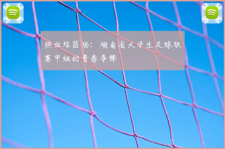 热血绿茵场：湖南省大学生足球联赛甲组的青春争锋
