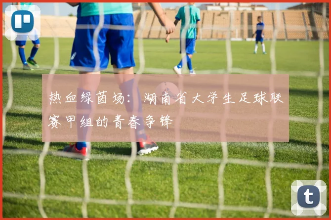 热血绿茵场：湖南省大学生足球联赛甲组的青春争锋